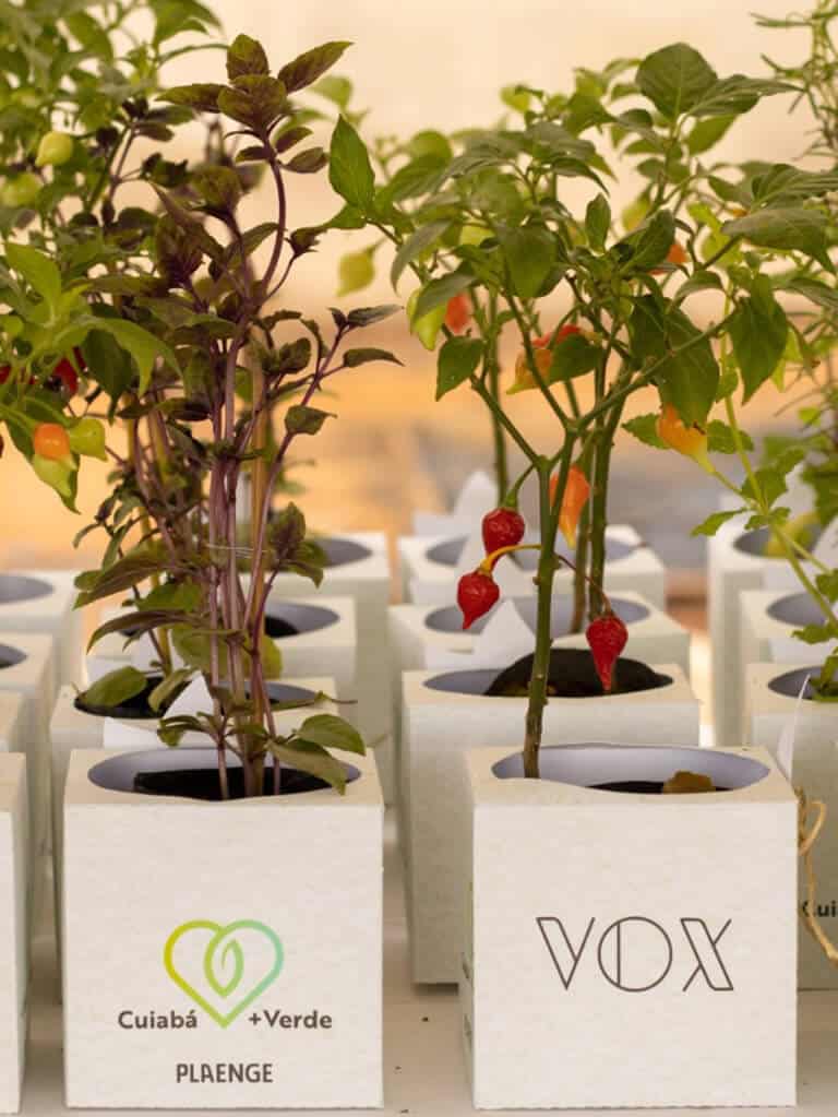 Clientes e colaboradores plantam 100 mudas de árvores no entorno do Vox