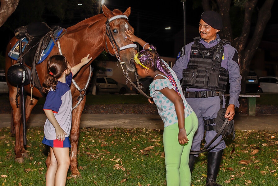 crianças brincando com um cavalo