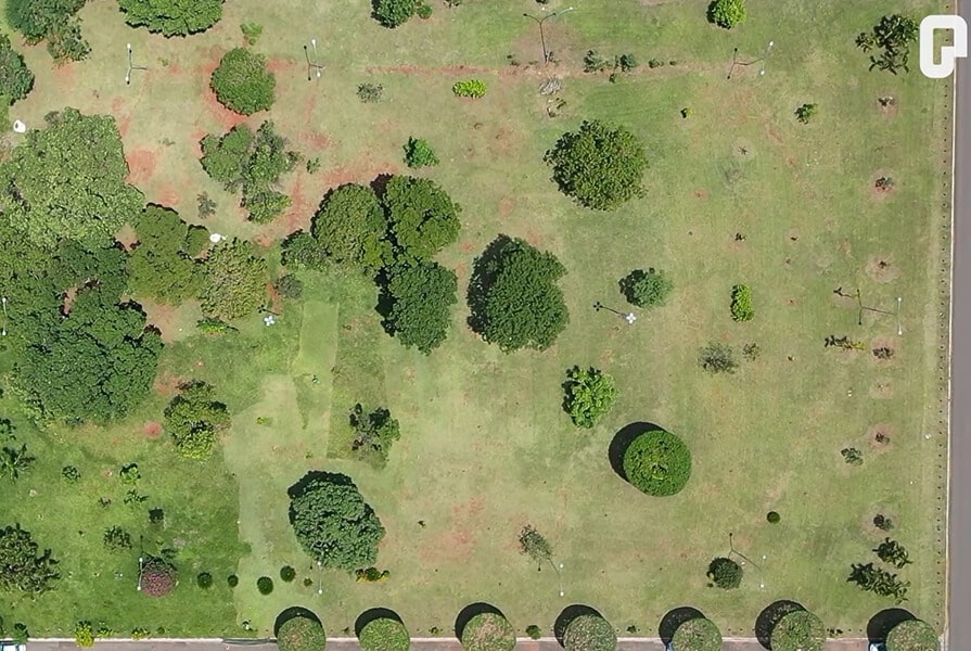 imagem aérea de floresta