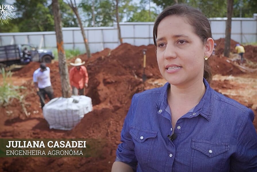 Engenheira agronoma em matéria de televisão