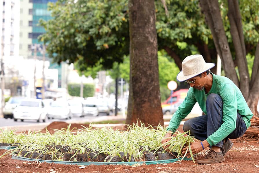 homem plantando na revitalização do Canteiro Central