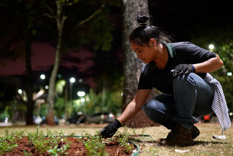 mulher plantando mudas