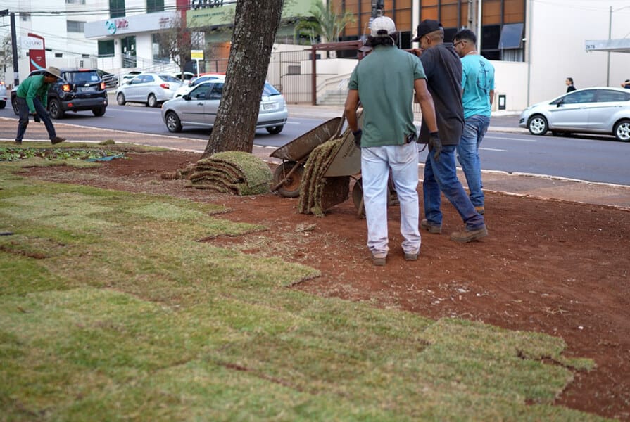 homens em gramado