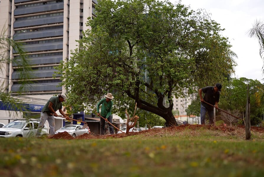 homens trabalhando na revitalização do Canteiro Central