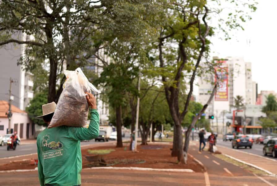 imagem do canteiro central da afonso pena