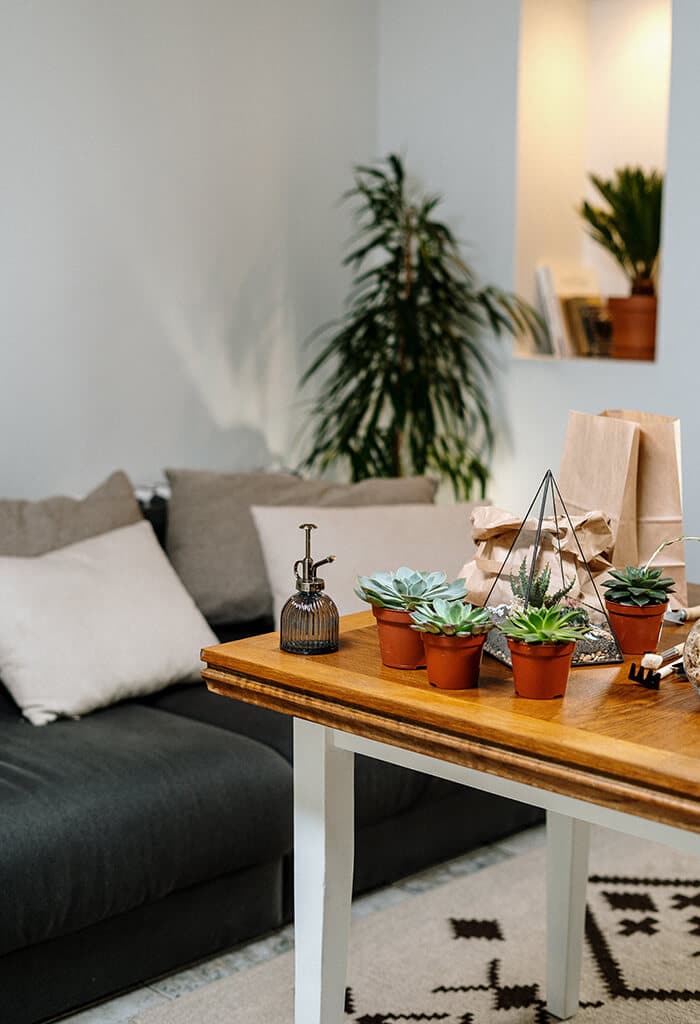 vasos de plantas em cima da mesa de madeira na sala