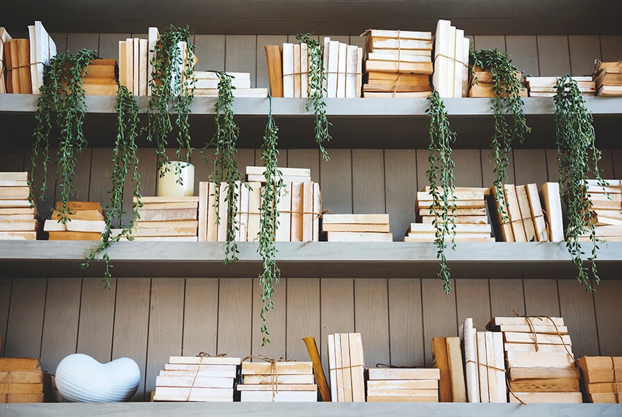 Estante de livros em tons neutros e com plantas de decoração