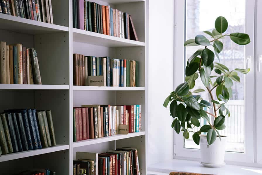 Estante com livros e vaso com plantas em mesa ao lado, biblioteca particular