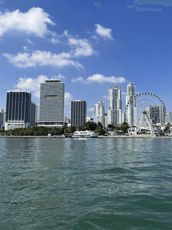 skyline de miami