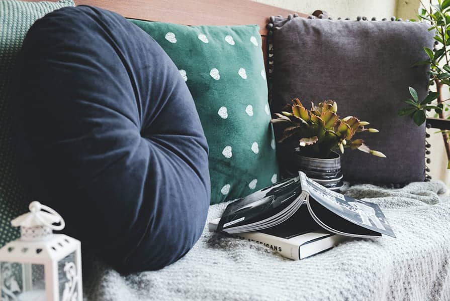 sofá com almofadas livros e vaso de planta