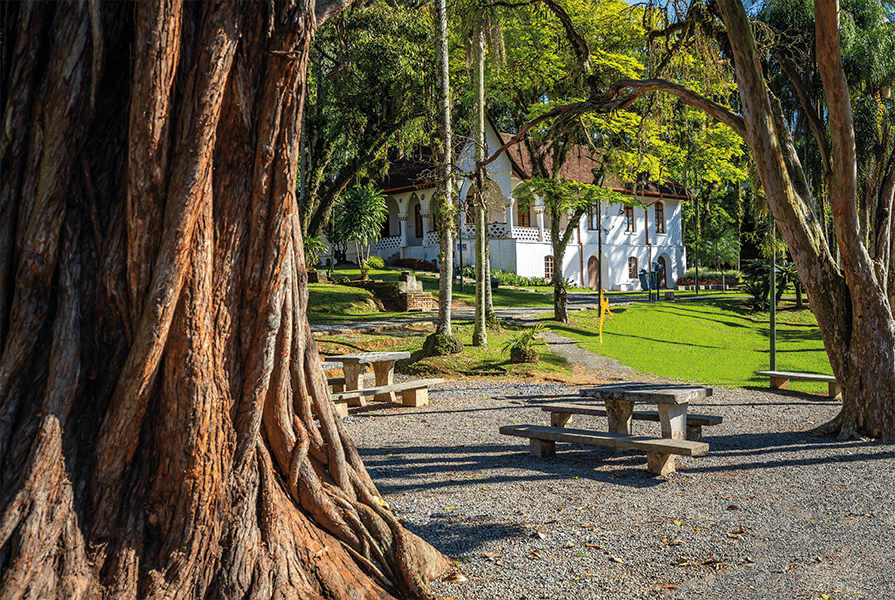 parque em joinville