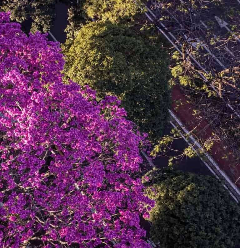 A Zona 07 sob uma nova perspectiva em Maringá