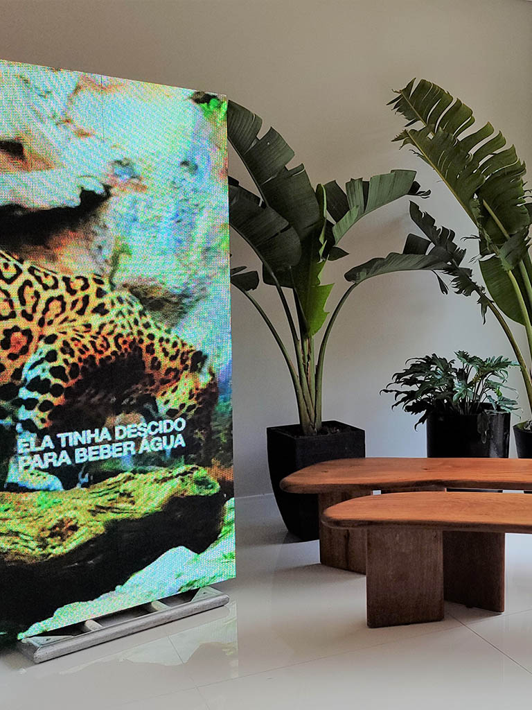 Mostra na Plaenge traz natureza com design sofisticado