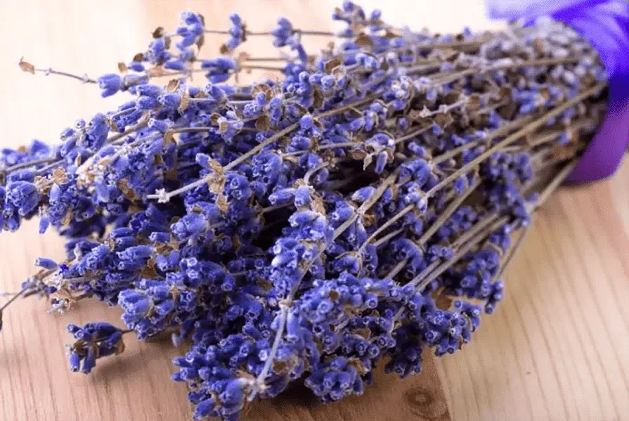 ramalhete de lavanda em cima de mesa de madeira