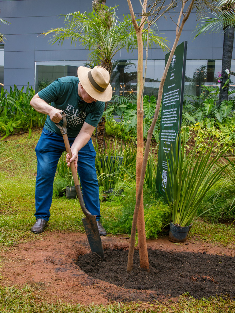 Plaenge celebra o Dia da Árvore com ação especial, em Campo Grande