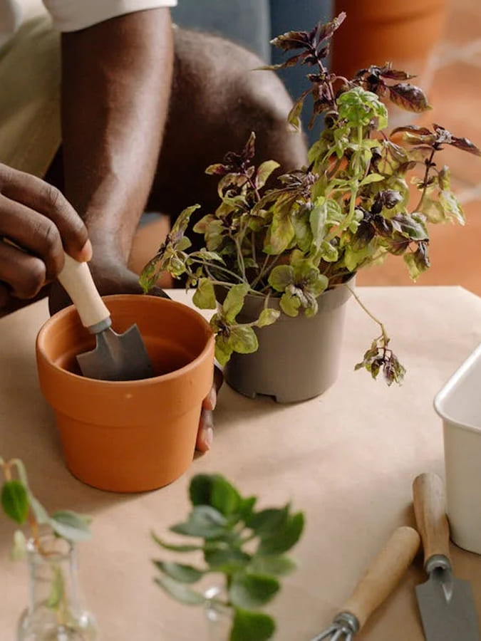 Horta em apartamento: guia completo para o seu lar