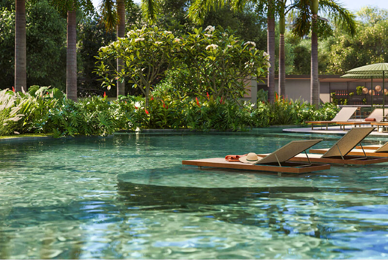 Piscina cristalina com espreguiçadeiras e vegetação ao fundo.