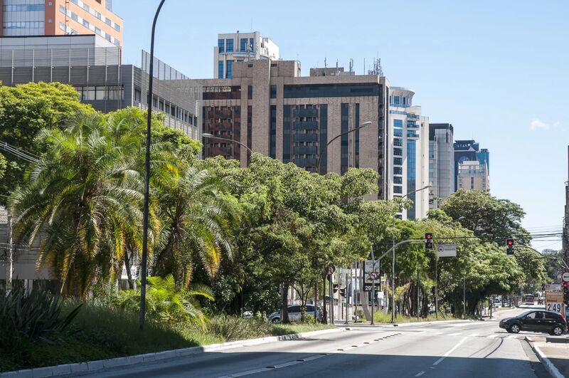 Vista de uma rua arborizada com prédios ao fundo