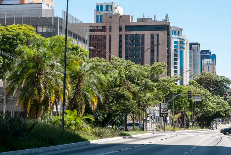 Rua arborizada com edifícios modernos ao fundo