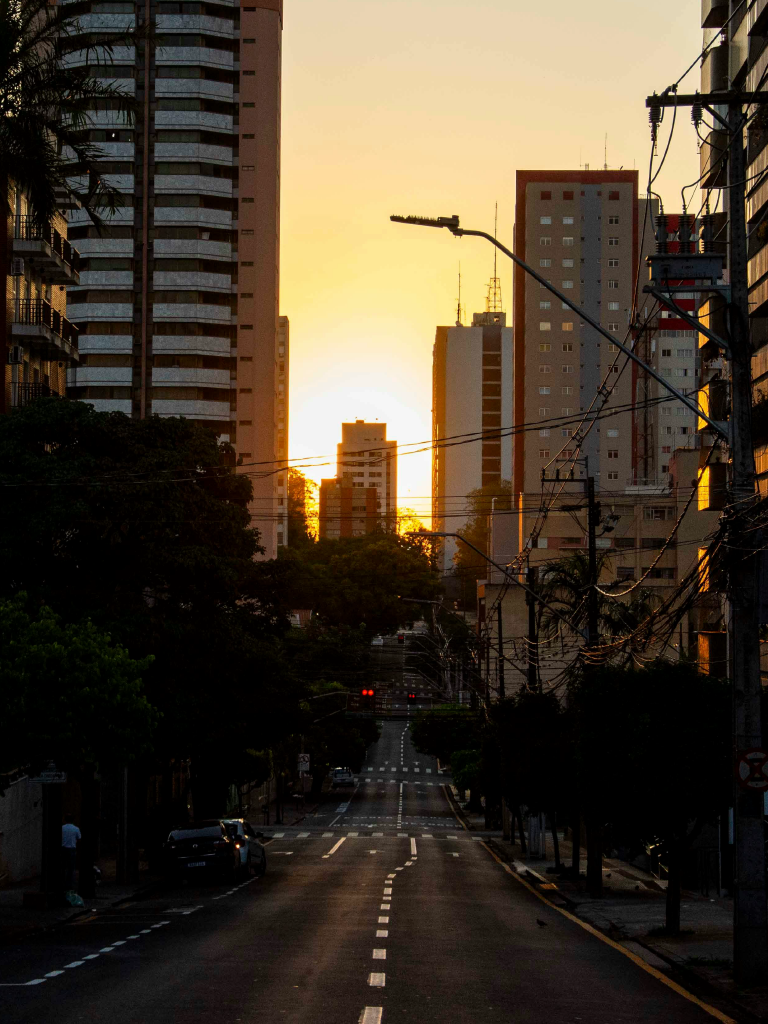 Plaenge e Londrina: uma história que molda paisagens e cria memórias 