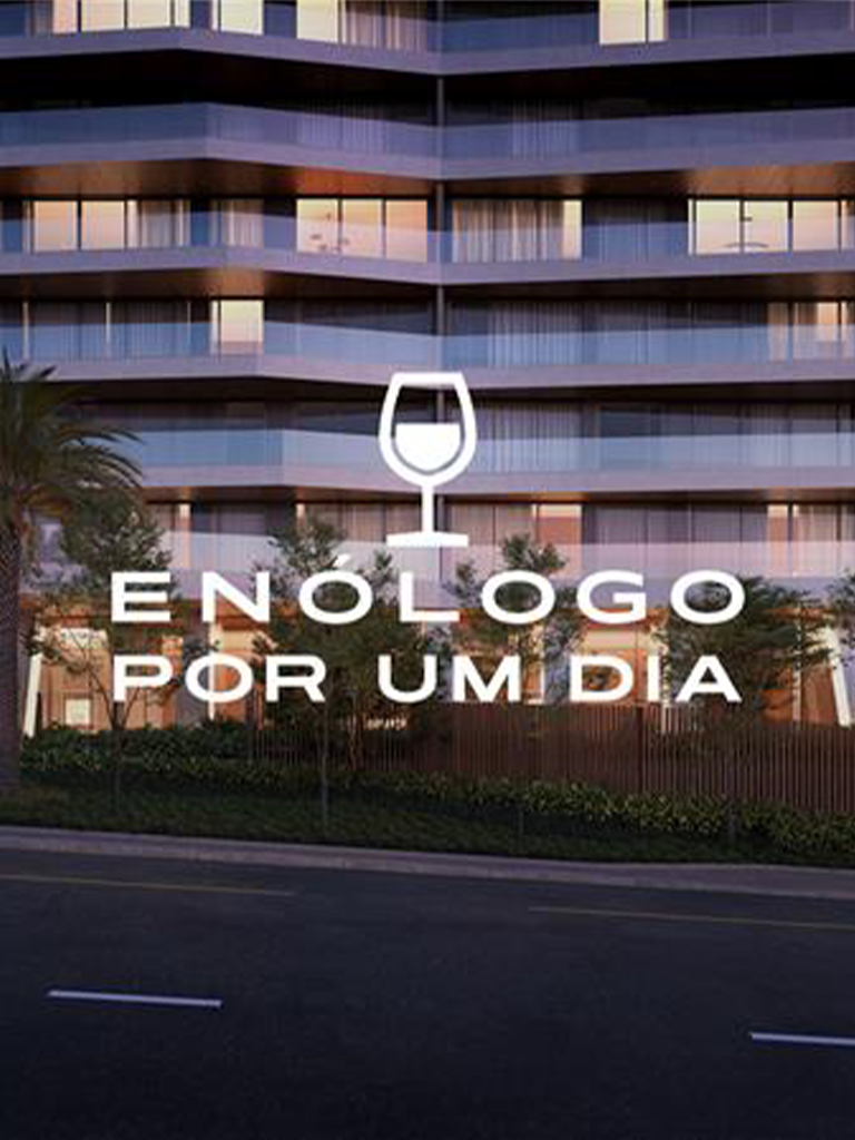 ENÓLOGO POR UM DIA: A CRIAÇÃO DO VINHO MOMENTUM 