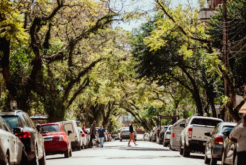 Rua arborizada com carros e pessoas caminhando